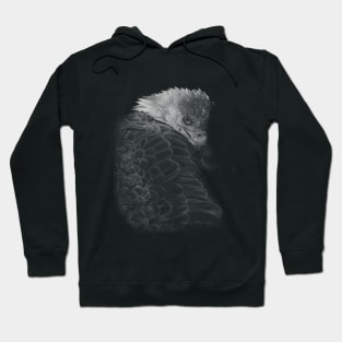 Bald Eagle Hoodie